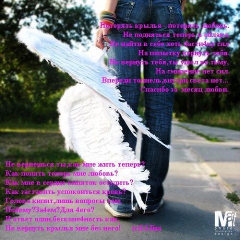 Потерянные крылья