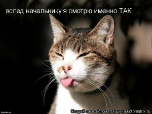 rokfor