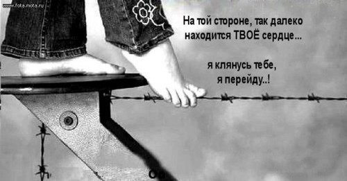 Твое сердце