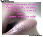 Ласточки