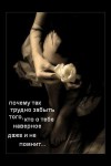 Белая роза