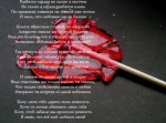 Разбитое сердце